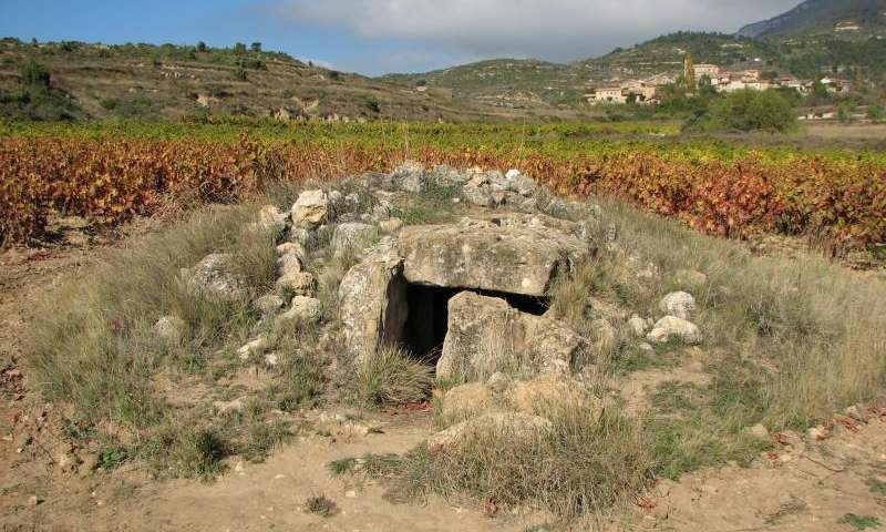 La Cascaja Dolmen, oblast La Rioja, nedaleko mÄ›sta LogroĹ?o, Ĺ panÄ›lsko (42.582711N  2.727442W). Dolmen z jinĂ©ho pohledu spol s vinicĂ­ a blĂ­zkou vesnicĂ­ zde.