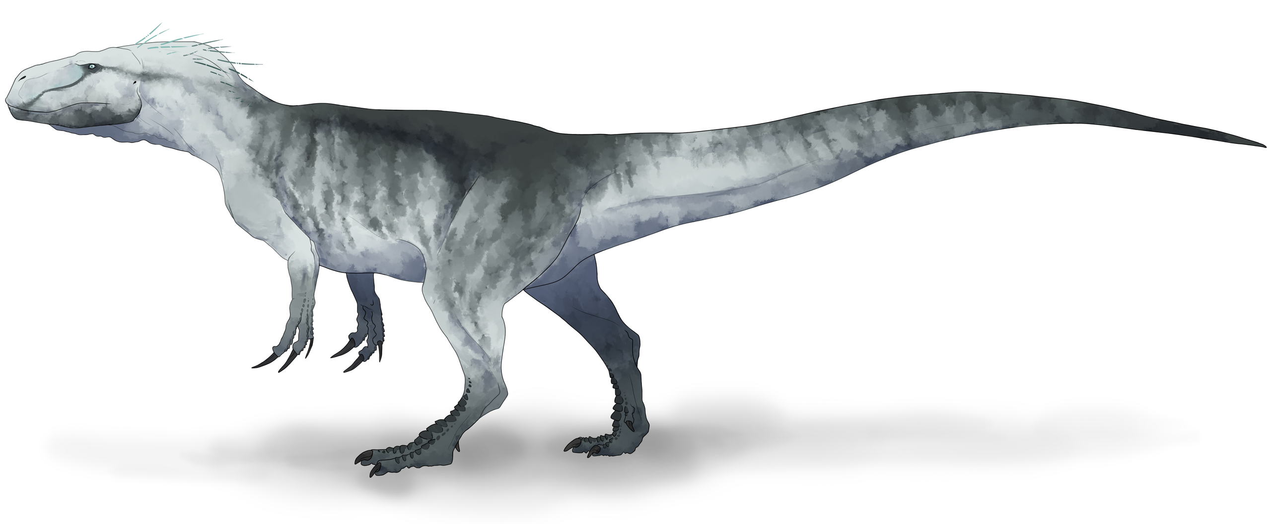 Současná představa o vzezření alosauroidního teropoda druhu Xuanhanosaurus qilixiaensis, žijícího v době před asi 165 miliony let na území současné Číny. Tento menší až středně velký teropod kráčel pouze po zadních, ačkoliv jeho přední končetiny byly