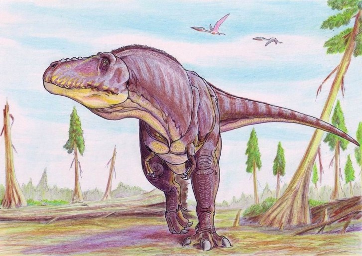 Moderní rekonstrukce živého vzezření obřího tyranosauridního teropoda druhu Tarbosaurus bataar z pozdní křídy Číny a Mongolska. V době před 70 miliony let tento až 12 metrů dlouhý a 6 tun vážící dravec představoval jednoho z dominantních predátorů v 