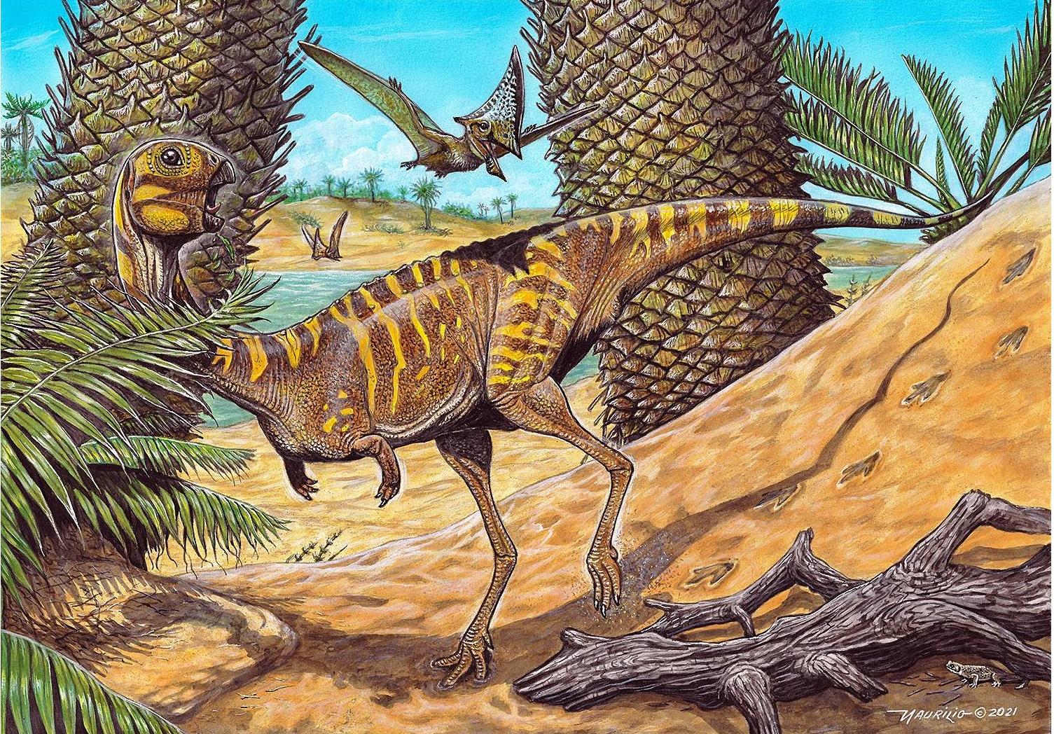 Podivný býložravý teropod druhu Berthasaura leopoldinae, obývající jižní oblasti současné Brazílie v období rané křídy. Tento malý zástupce noasauridních ceratosaurů byl dokonce zcela bezzubý. Kredit: de Souza, G. A.; et al.; Wikipedia (CC BY 4.0)