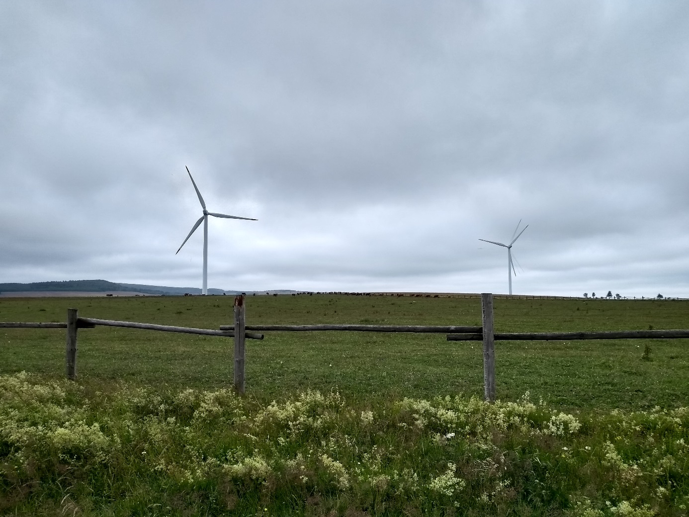 Větrné elektrárny mohou sice přispět k nízkoemisnímu mixu, ale jen omezeně (foto Vladimír Wagner).
