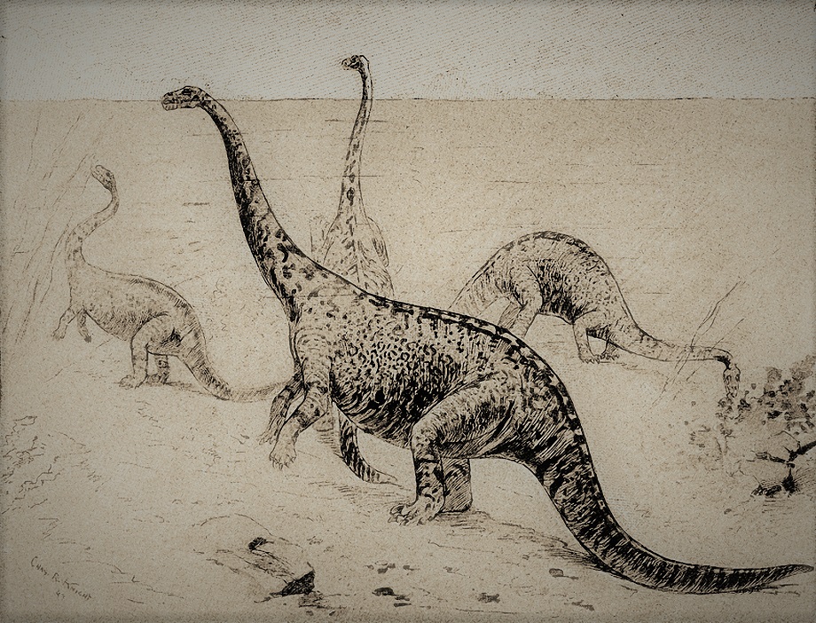 Zastaralá rekonstrukce „obojživelného“ sauropoda druhu Amphicoelias altus v podání Charlese R. Knighta (1897). Až v polovině minulého století bylo definitivně prokázáno, že podobné aktivity nepřipadaly u sauropodních dinosaurů v úvahu. Takto ponořený