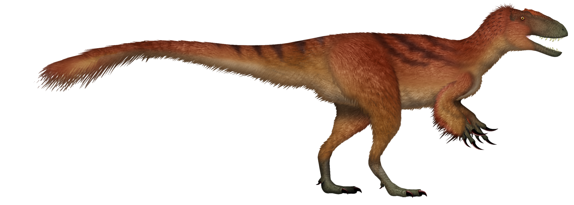 Yutyrannus huali byl velký tyranosauroidní teropod, schopný ryvchlé chůze a nejspíš i běhu. Je ale otázkou, zda skutečně dokázal běhat rychlostí až kolem 58 km/h (jak naznačuje nově publikovaná odborná práce). Kredit: UnexpectedDinoLesson; Wikipedia 