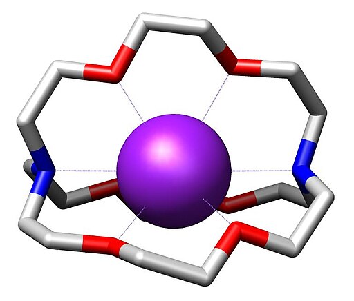 Struktura kryptandu K(2.2.2-crypt)+ s vázaným atomem draslíku uprostřed. Kredit: M stone, Wikimedia Commons,  CC BY-SA 3.0