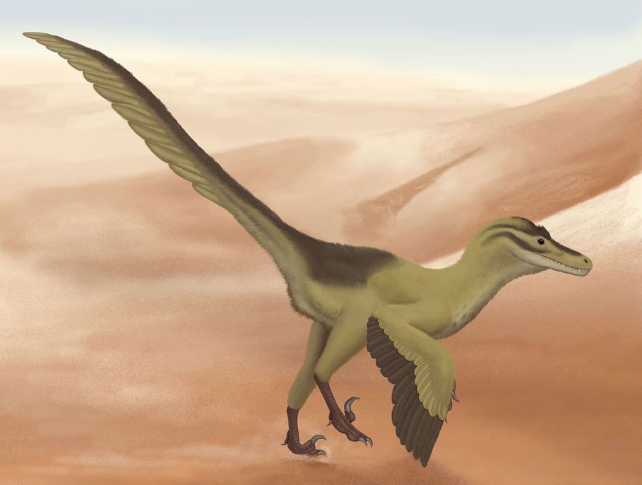 Nezpochybnitelným hegemonem v počtu popsaných dinosauřích druhů ze svého území je dnes Čína. Jedním ze zhruba tří set známých čínských dinosaurů je například dromeosaurid Linheraptor exquisitus, popsaný roku 2010 z území čínské Autonomní oblasti Vnit