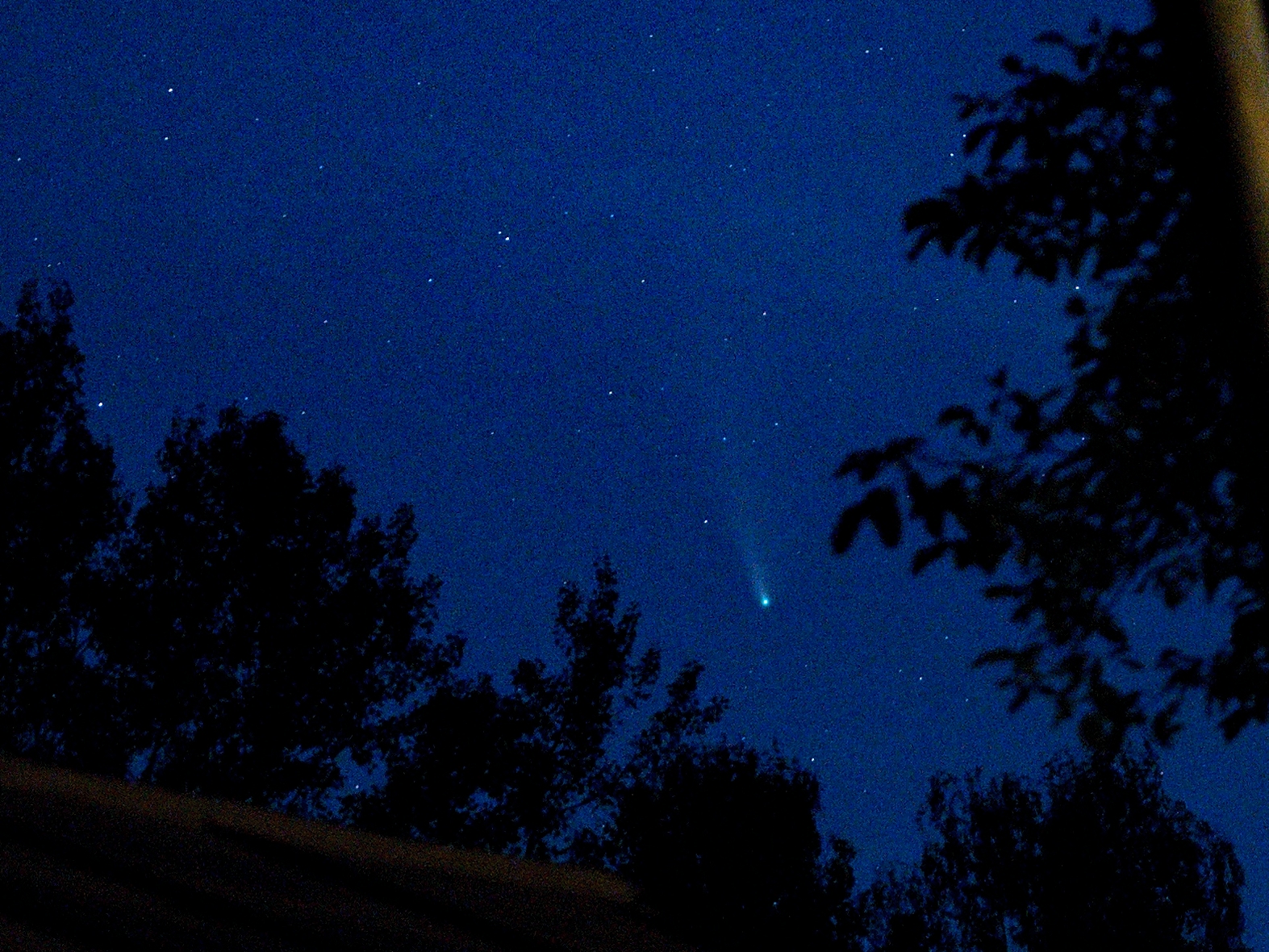 Slábnoucí kometa na jižním okraji Velké Medvědice (= dost hluboko pod Velkým Vozem) a výřez 1:4. Foceno ze Srb u Plzně 22. 7. v 22:45, čas 0,3 s; 50 mm / 1,8; ISO 9000 ASA.
