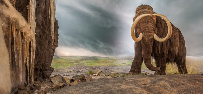 Model mamuta srstnatého v expozici Royal British Columbia Museum v kanadském městě Victoria (Britská Kolumbie). Tito mohutní chobotnatci byli skvěle anatomicky přizpůsobení životu ve velmi chladných podmínkách. I proto patřili k nejúspěšnějším živoči