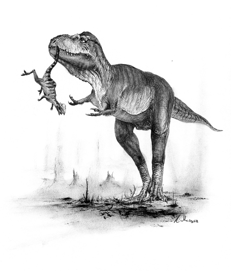 Ilustrace pravděpodobného vzezření eutyranosaurního tyranosauroida druhu Bistahieversor sealeyi v podání Vladimíra Rimbaly. Ilustrace je součástí knihy Legenda jménem Tyrannosaurus rex, která vyšla autorovi blogu v květnu roku 2019. Teropod na obrázk
