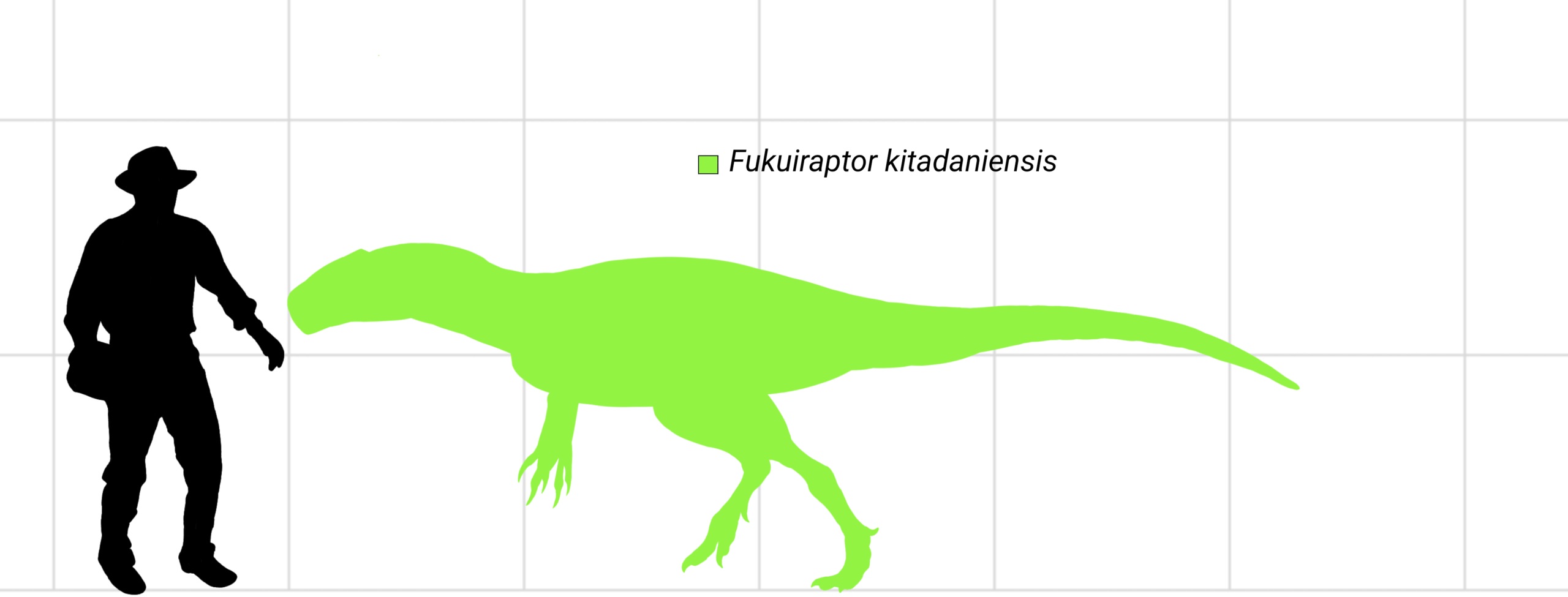 Fukuiraptoři patřili k menším až středně velkým dravcům ve svých ekosystémech. Při velikosti dnešních tygrů až medvědů představovali nebezpečné predátory pro všechny obratlovce až do velikosti statného koně. Pokud lovili ve smečkách, mohli si troufno