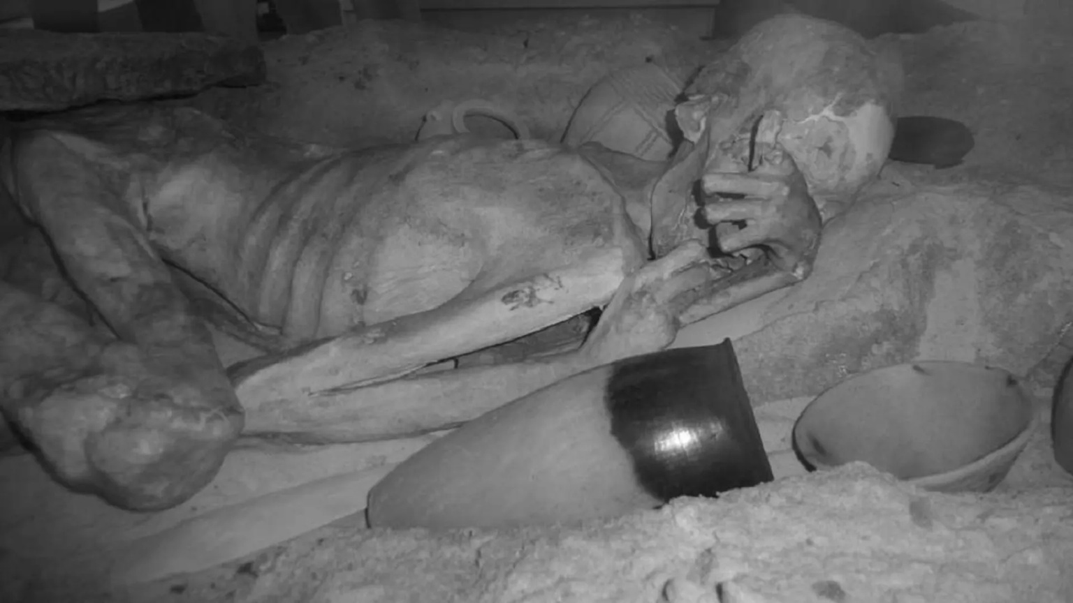 Nejstaším známým vyobrazením scény z reálného života se honosí  Egypťan.  Radiouhlíkové datování dokládá, že někdy  v době 3351 až 3017 před naším letopočtem si nechal na paži vyobrazit buvola s paovcí hřivnatou ( druh z podčeledi kozy a ovce). Jak v