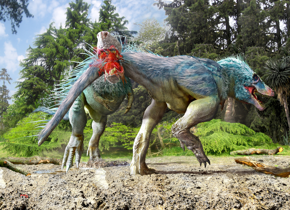 Wyrex a pravděpodobný způsob vzniku jeho děsivého zranění (kompletní odkousnutí přibližně poloviny ocasu), kterému pravděpodobně po nějaké době podlehl. Kredit: Luis V. Rey; web Luis V. Rey Blog