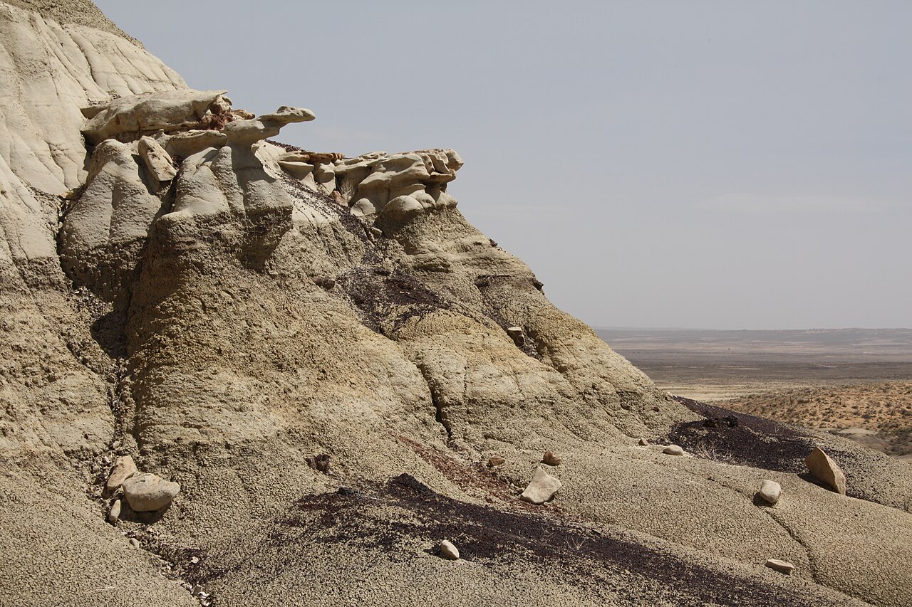Horninové výchozy geologického souvrství Kirtland na území Nového Mexika. Právě v těchto pozdně křídových sedimentech starých 74 až 75 milionů let byla objevena i holenní kost exempláře NMMNH P-25085. Kredit: N. Longrich; Wikipedia (CC BY-SA 4.0)