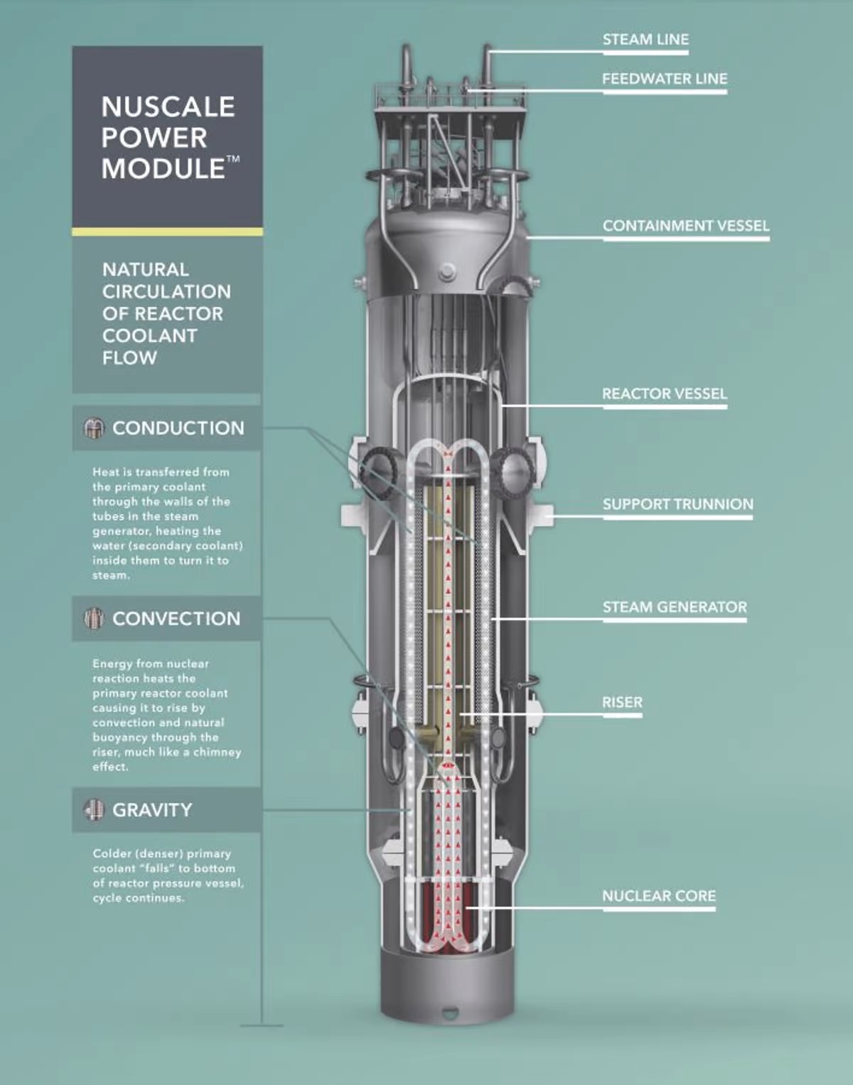 Modulární reaktor NuScale SMR. Kredit: NuScale Power.