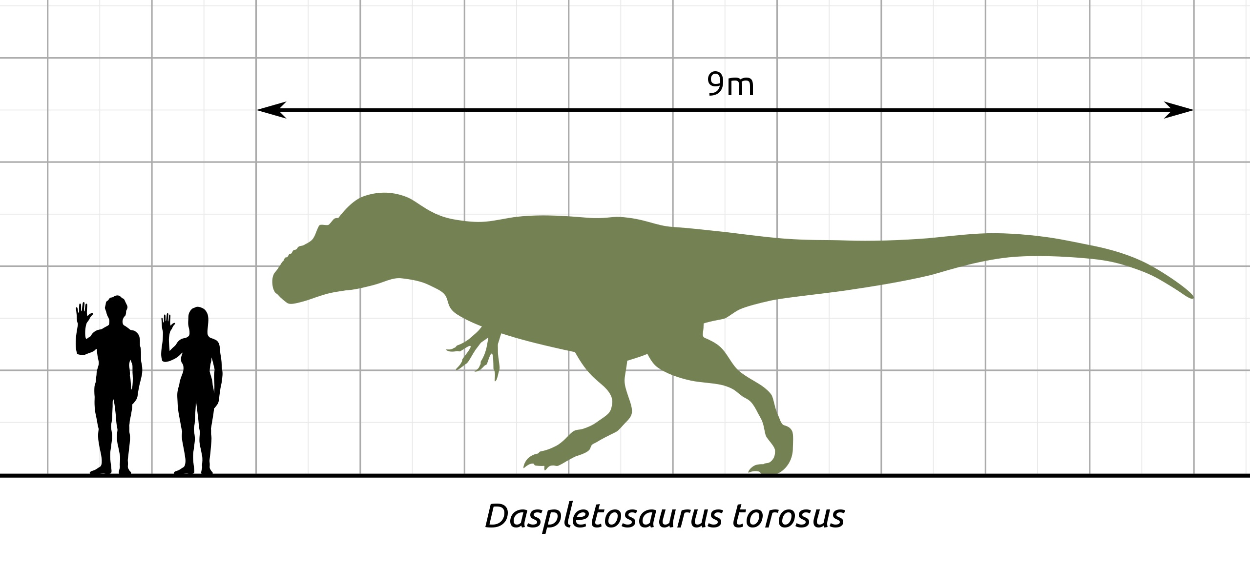 Porovnání velikosti člověka a dospělého jedince tyranosaurida druhu Daspletosaurus torosus. Od vyhynutí neptačích dinosaurů před 66 miliony let už se na suché zemi (mimo sladkovodní ekosystémy osídlené obřími krokodýly) tak velcí predátoři nevyskytov
