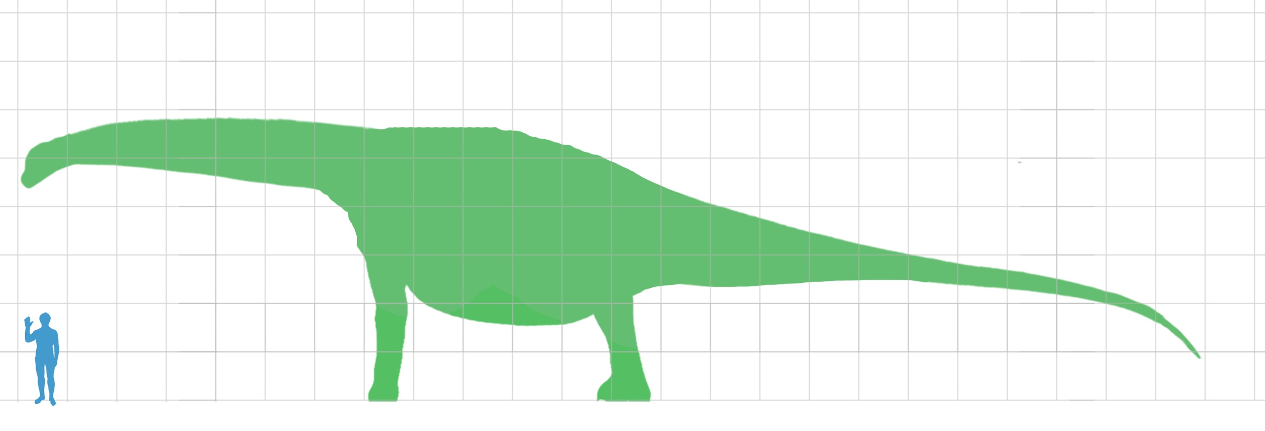 Nevíme s jistotou, do jakých rozměrů mohl dospělý turiasaurus dorůst, pravděpodobně však přesáhl délku 30 metrů a hmotnost 50 tun. V současnosti je tak zatím největším známým živočichem, který se kdy procházel po „evropské“ pevnině. Kredit: Matthew M