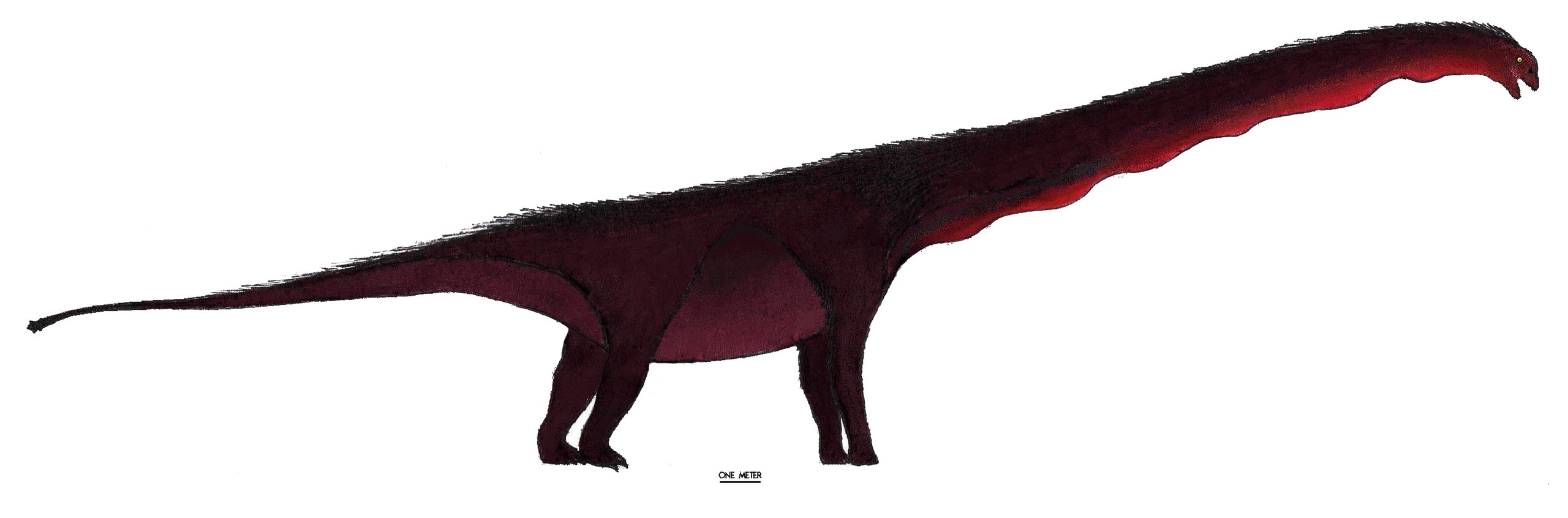 Rekonstrukce přibližného vzezření středně jurského čínského sauropoda xinjiangtitana. I přes své obří rozměry byl poměrně lehce stavěným zástupcem své skupiny a hmotností se ani zdaleka nepřibližoval například největším jihoamerickým titanosaurům. S 