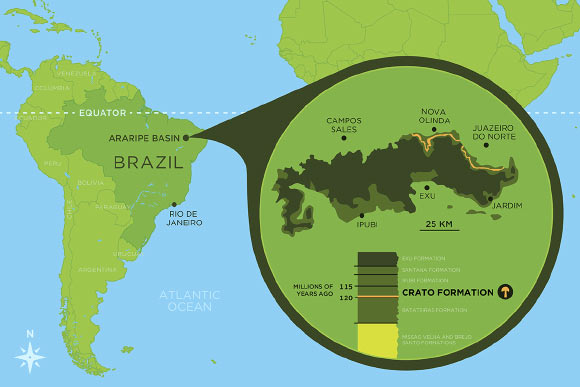 Lokalita nálezu - Araripe Basin. Kredit: Danielle Ruffatto, University of Illinois at Urbana-Champaign, Champaign, Illinois.