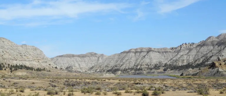 Sedimenty geologického souvrství Judith River mají stáří 79 až 75 milionů let, pocházejí tedy z období, které předcházelo vzniku druhu T. rex zhruba o 10 milionů let. Přesto již v této době nejspíš existovali tyranosauridní giganti o velikosti slavné