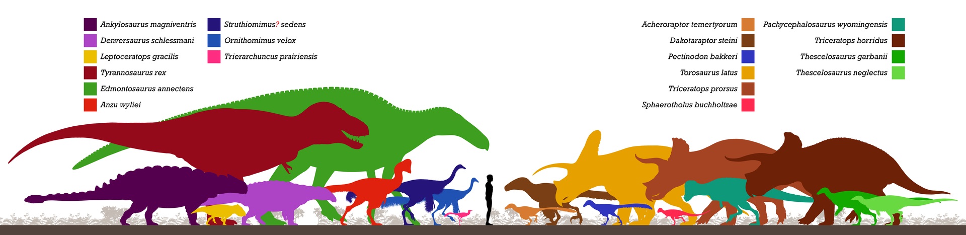 Schematický přehled zástupců dinosauří megafauny v ekosystémech souvrství Hell Creek. V současnosti známe přinejmenším 23 rodů neptačích dinosaurů, náležejících právě k těmto ekosystémům z posledních 1,2 až 2 milionů let křídové periody. Kredit: Pale