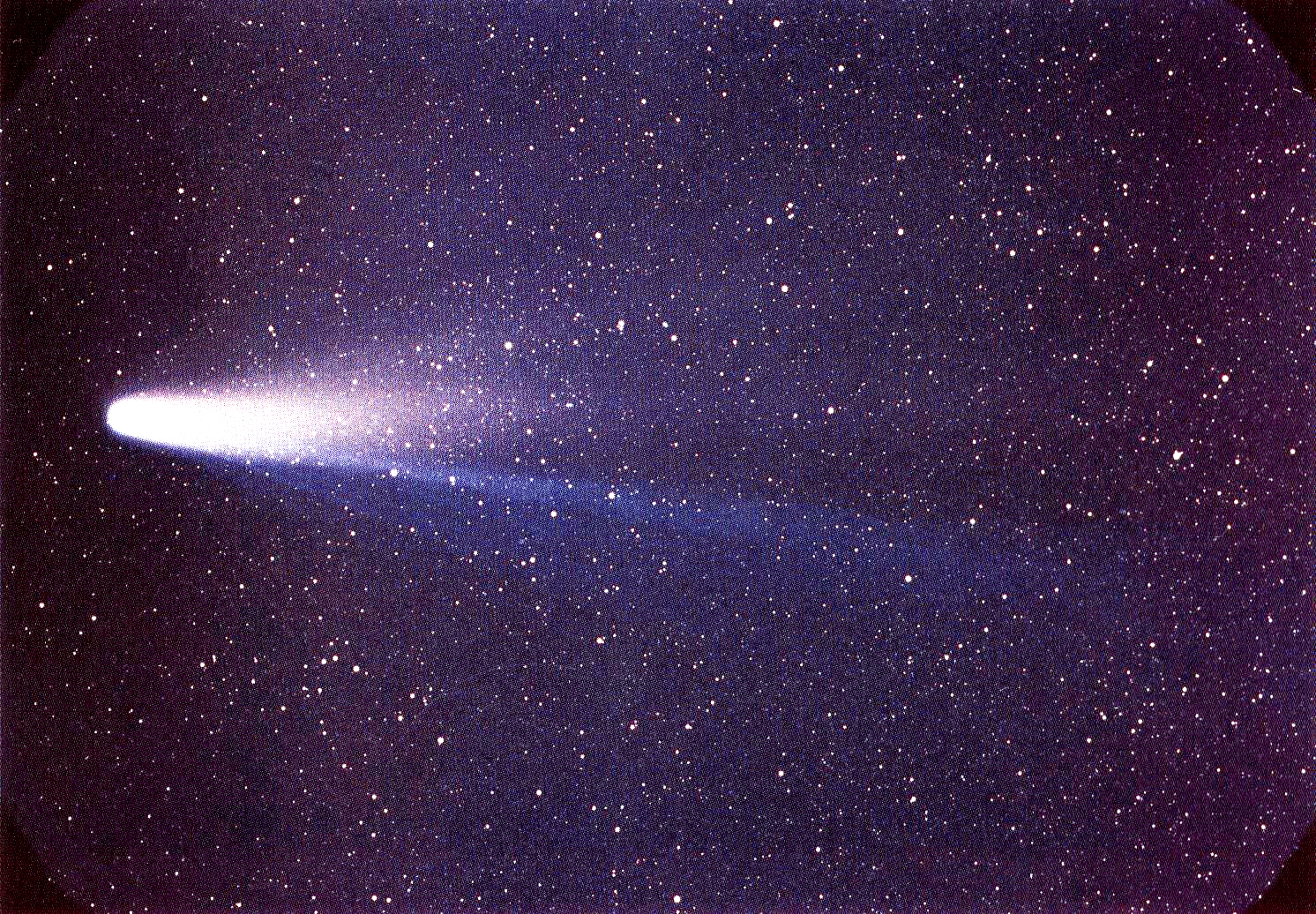 Snímek jedné z nejslavnějších vlasatic, krátkoperiodické Halleyovy komety (pořízen dne 8. března 1986). Je možné, že to byla právě některá z jejích dávných „sester“, kdo přivodil na konci křídy zánik neptačích dinosaurů a s nimi také dalších 75 % teh