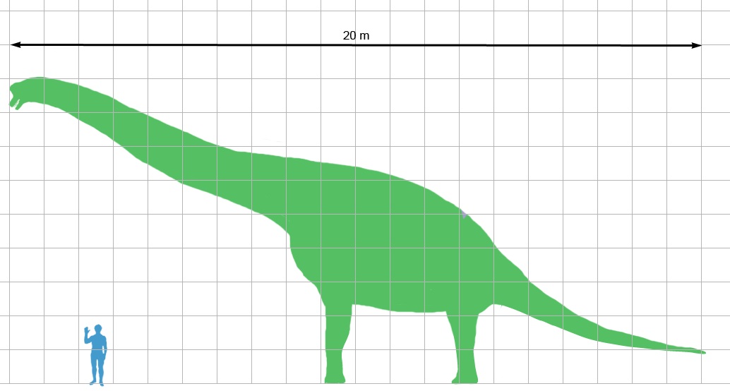 Velikostní porovnání dospělého člověka a druhu Giraffatitan brancai. Ačkoliv se svými 30 až 40 tunami živé váhy nebyl ani zdaleka největším a nejhmotnějším sauropodním dinosaurem, jeho rozměry byly přesto ohromující. Pohodlně by například nahlížel do