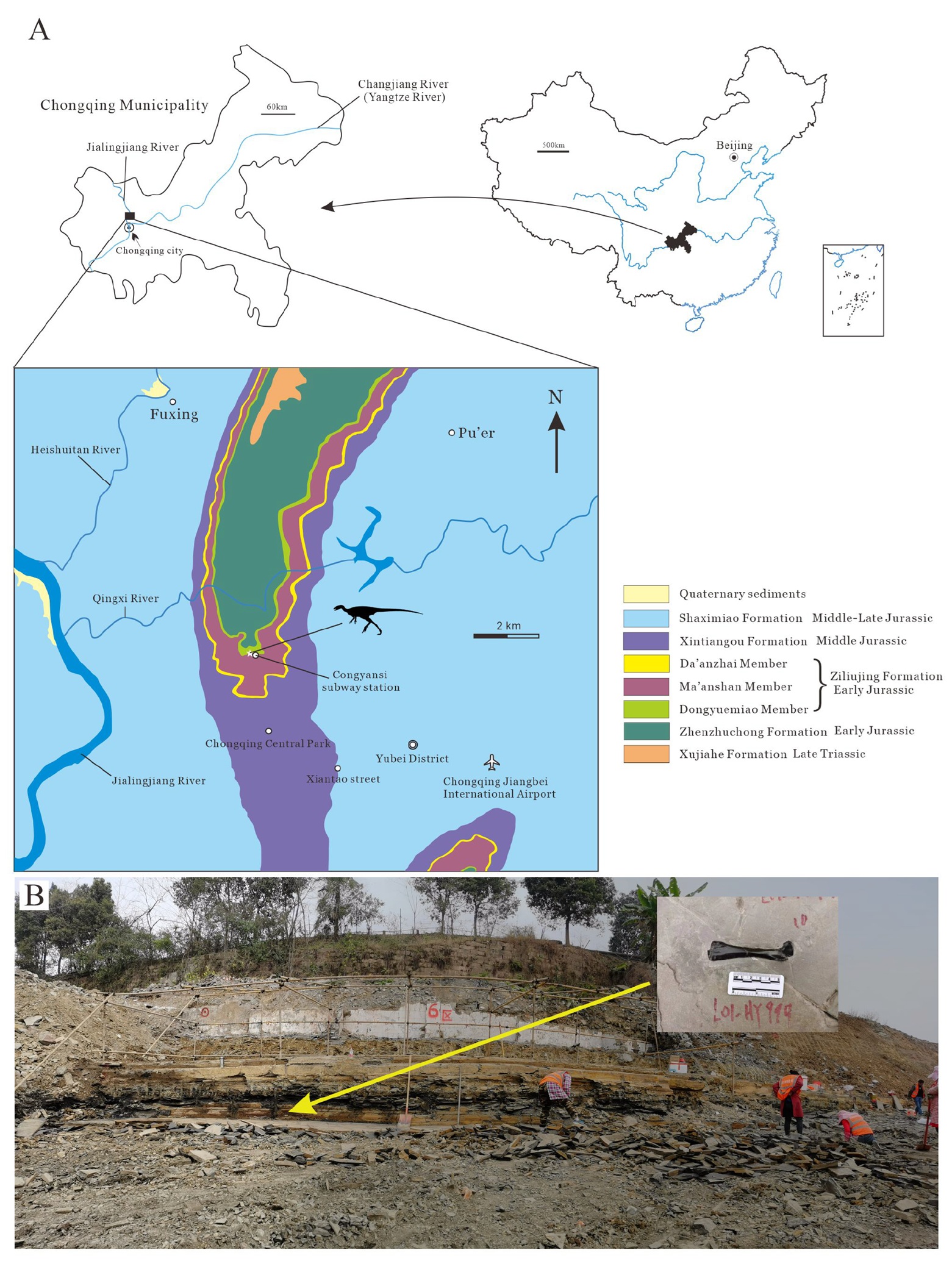 Vyznačení zeměpisné polohy, podrobná mapa a fotografie z typové lokality malého ptakopánvého dinosaura druhu Archaeocursor asiaticus. Tento archaický zástupce ptakopánvých žil v době před zhruba 190 miliony let na území dnešní jižní Číny. Kredit: X. 