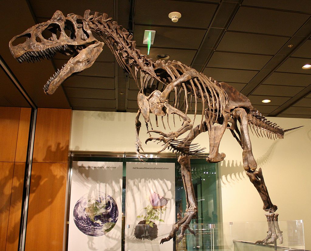 Exemplář „Big Al 2“, velmi dobře dochovaný a vysoce kompletní jedinec alosaura, spadající do druhu A. jimmadseni. Fosilie byla objevena v roce 1996 a představuje jednu z nejkompletnějších koster velkého teropoda na světě. Stejně jako „první“ Big Al i