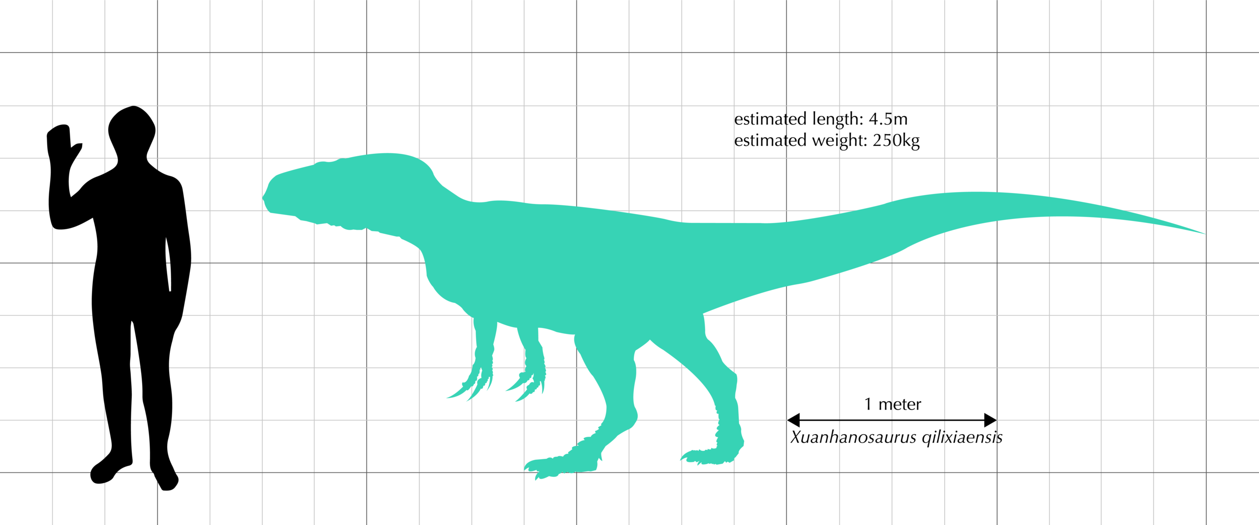 Xuanhanosaurus patřil do velikostní kategorie teropodů, schopných lovit menší až středně velkou kořist – od drobných savců, plazů a obojživelníků až po býložravé dinosaury přibližně do velikosti mohutného koně. Největší zástupci tohoto druhu mohli do