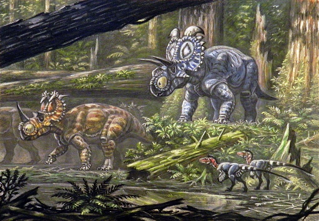 Ekosystém geologického souvrství Oldman s ceratopsidy rodů Coronosaurus (níže vlevo) a Albertaceratops. V popředí dvojice opeřených dromeosauridů, pravděpodobně rodu Dromaeosaurus nebo Hesperonychus. Tehdejší ekosystémy patřily k druhově nejbohatším 