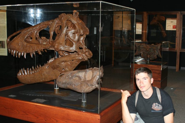 Fosilie dinosaurů v expozicích muzeí i jiných vzdělávacích institucí můžeme obdivovat už téměř dvě století. Přesto ještě dnes téměř polovina Američanů věří, že dinosauři ve své klasické podobě buď vůbec nevyhynuli nebo zmizeli teprve před několika st
