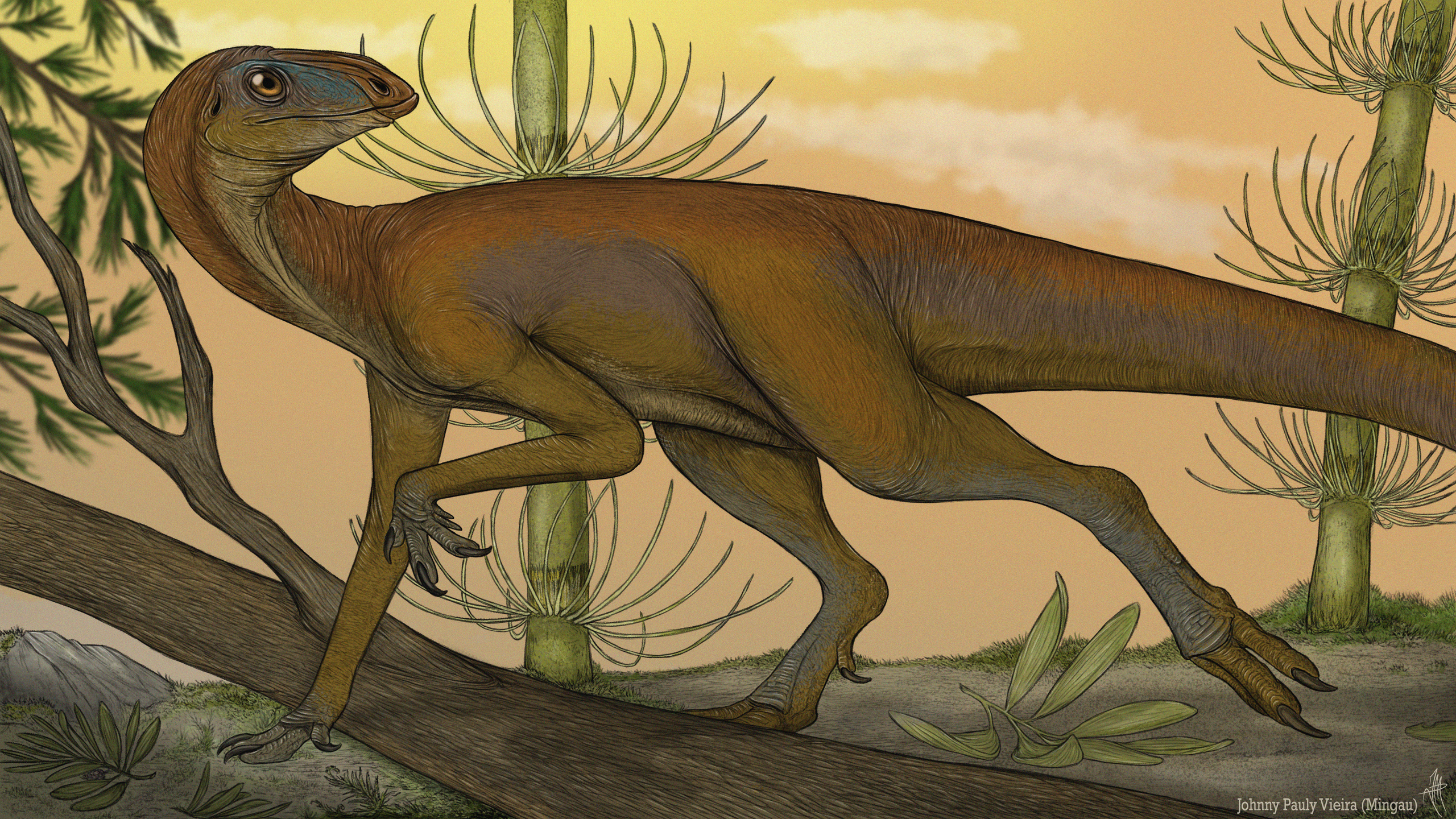 Obrazová rekonstrukce brazilského silesaurida druhu Sacisaurus agudoensis. Tento asi 225 milionů let starý zástupce kladu Sulcimentisauria mohl mít z hlediska vývoje značně blízko k nejstarším ptakopánvým dinosaurům. Kredit: JohnnyMingau; Wikipedia (