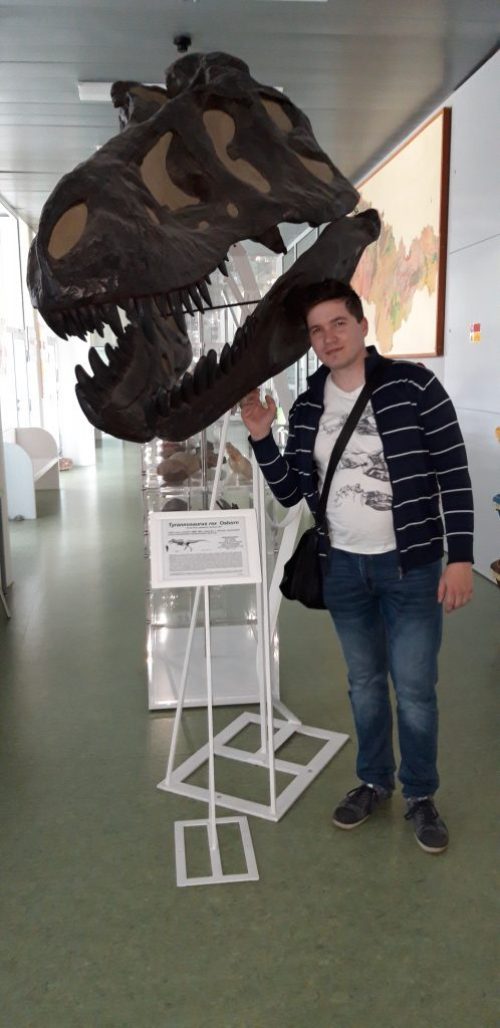 Na Přírodovědecké fakultě Univerzity Palackého v Olomouci se můžete setkat s jedinou anatomicky propracovanou českou replikou lebky tyranosaura, a to právě exempláře AMNH 5027. Lebka má reálnou velikost (délku kolem 136 cm) a její rozměry jsou při po