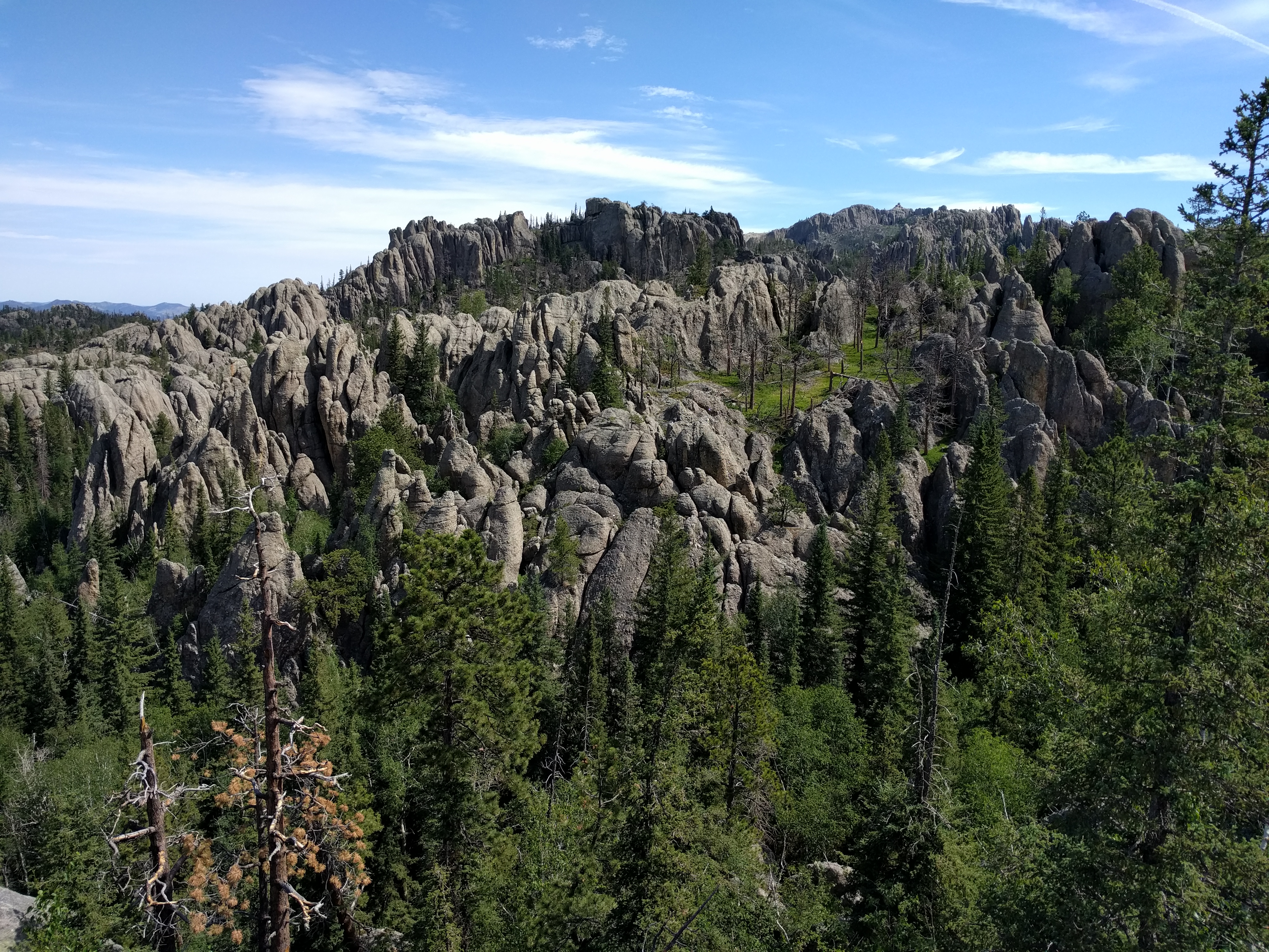 Snímek z oblasti Black Hills, místa objevu fosilií „manospondyla“. Zkameněliny byly objeveny v sedimentech souvrství Hell Creek o stáří asi 67 milionů let. Na snímku hora Black Elk Peak, s nadmořskou výškou 2207 metrů nejvyšší místo na území Jižní Da