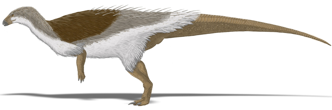 Rekonstrukce možného vzezření dospělého jedince thescelosaura s hypotetickým pernatým pokryvem části těla. Tento menší ptakopánvý dinosaurus patřil k vůbec posledním žijícím neptačím dinosaurům a i přes svoji schopnost vyhrabávat podzemní nory pravdě