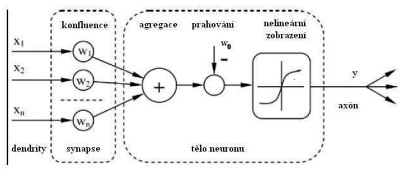 Model neuronu Kredit: Vojtěch Jíša, ZCU.