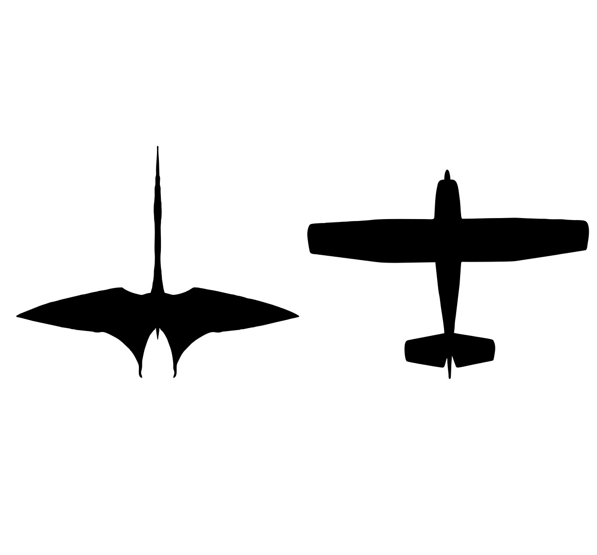 Porovnání velikosti siluety dopravního letadla Cessna 172 a ptakoještěra druhu Quetzalcoatlus northropi. Ačkoliv člověkem vyrobený dopravní prostředek je několikanásobně těžší než lehce stavěný pterosaur, pravěký letec by vítězil v celkové výšce při 