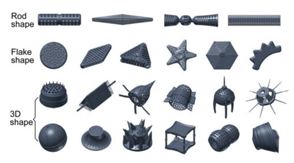 Tvarová klasifikace frustulí rozsivek. Obrázky jsou 3D modely. Skutečná velikost schránek je asi 10 až 80 mikrometrů Kredit: Wikimedia, volné dílo