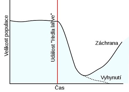 Efekt â€žhrdla lĂˇhveâ€ś (bottleneck). PĹ™i snĂ­ĹľenĂ­ poÄŤtu populace pod urÄŤitou mez hrozĂ­ vyhynutĂ­. KdyĹľ se takovĂ© populaci podaĹ™Ă­ utĂ©ci hrobnĂ­kovi z lopaty, zanechĂˇ takovĂˇ udĂˇlost po sobÄ› stopu  v podobÄ› zĂşĹľenĂ­ genetickĂ© diverzi