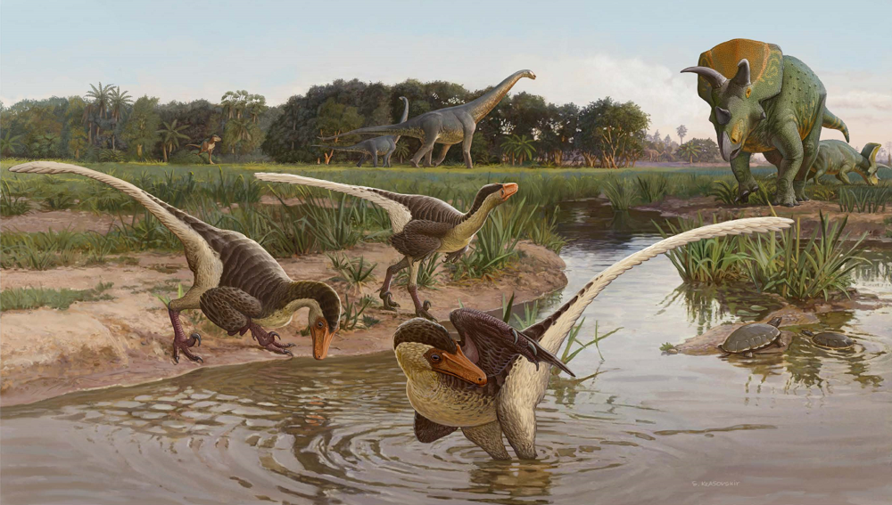 Rekonstrukce přirozeného prostředí druhu Dineobellator notohesperus (v popředí). Ekosystémy v rámci geologického souvrství Ojo Alamo patřily k posledním životním protředím s bohatou přítomností dinosauří megafauny. Opeřeným „srpodrápým“ predátorům zd