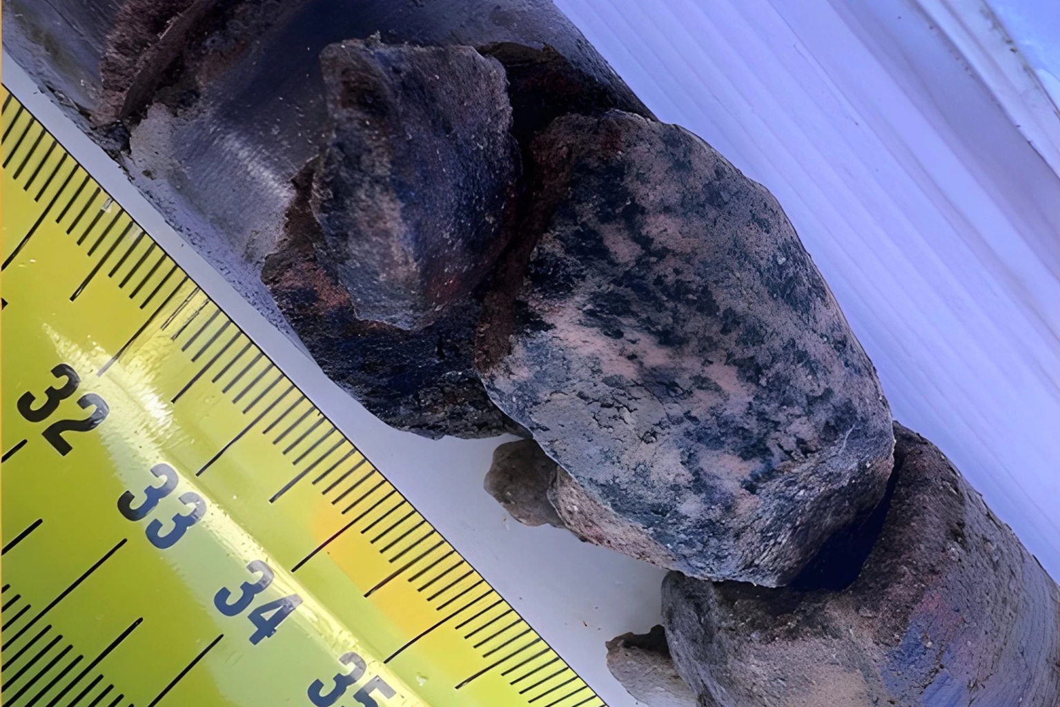 Materiál ze vzorků pod ledovcem. Kredit: Jason Briner/University at Buffalo.