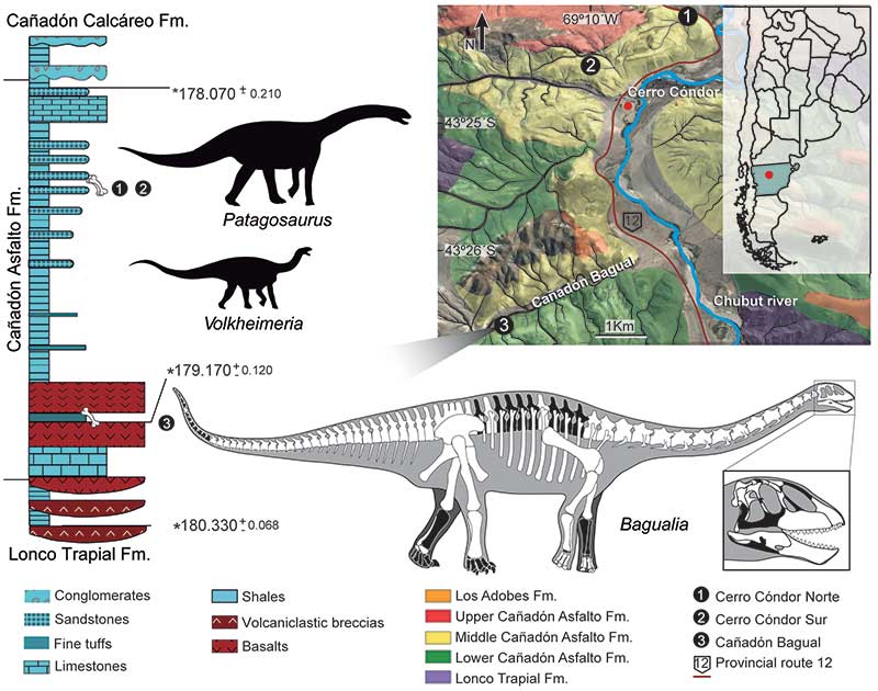 Mapa lokalit a stratigrafického výskytu sauropodů ze souvrství Ca?adón Asfalto, pocházejícího z období pozdní fáze rané (spodní) jury. Rody Bagualia, Volkheimeria i Patagosaurus patřily k nové vývojové vlně sauropodních dinosaurů, kteří se vyvinuli p