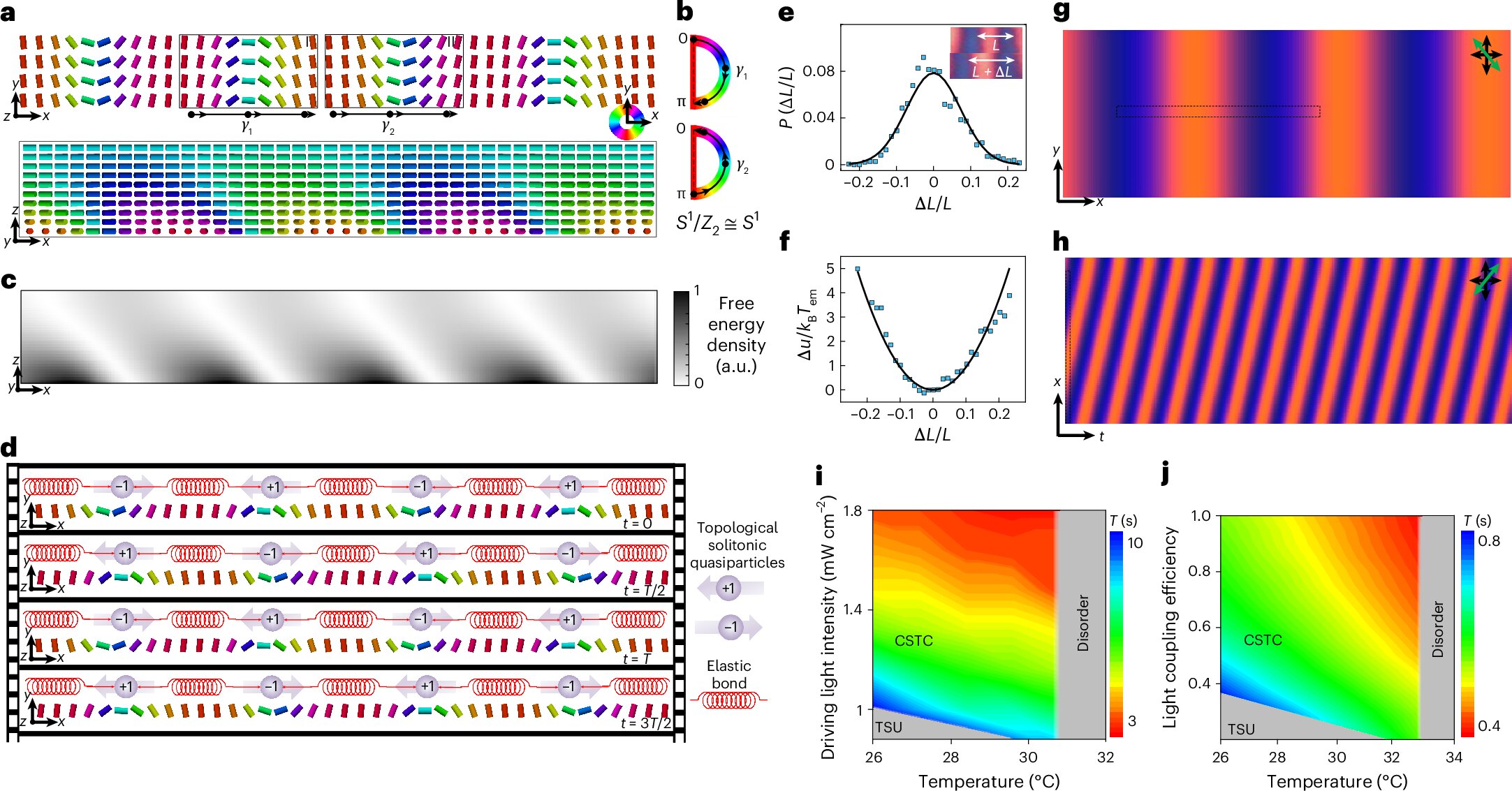 Časové krystaly z tekutých krystalů. Kredit: Zhao et al. (2025), Nature Materials.