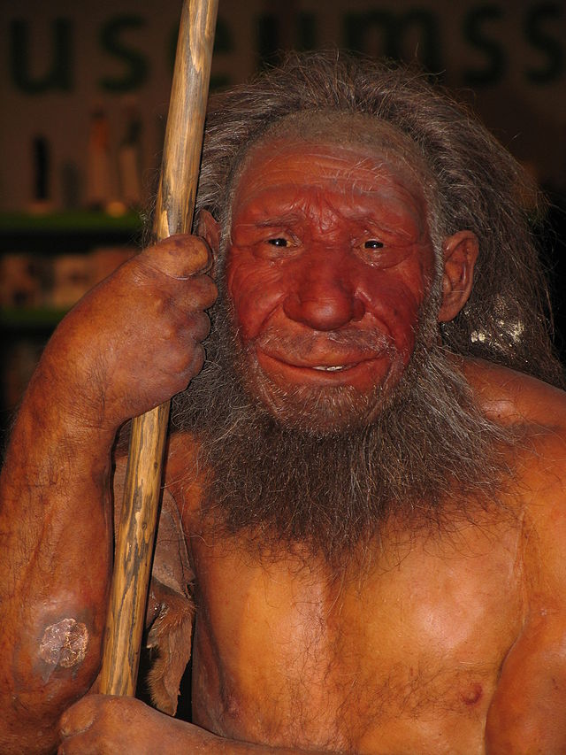 Homo neanderthalensis. ( rekonstrukce od Stefana Scheera, CC BY 2.5 via Wikimedia Commons)