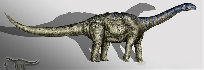 PĹ™ibliĹľnĂˇ podoba titanosaurnĂ­ho sauropoda, kterĂ˝ zanechal otisky svĂ˝ch stop v ÄŚĂ­nÄ› bÄ›hem obdobĂ­ ranĂ© kĹ™Ă­dy. Po vĂ­ce neĹľ 100 milionech let poslouĹľily tyto ichnofosĂ­lie jako domnÄ›lĂ˝ dĹŻkaz pĹ™Ă­tomnosti boĹľskĂ˝ch bytostĂ­ mĂ­stnĂ­m