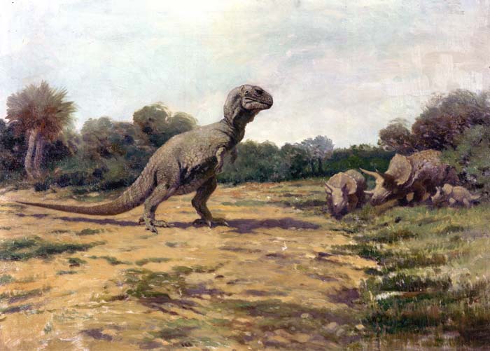 ZastaralĂˇ rekonstrukce vzhledu a tÄ›lesnĂ© stavby tyranosaura v podĂˇnĂ­ Charlese R. Knighta (1919). Dnes vĂ­me, Ĺľe tento teropod mÄ›l podstatnÄ› vĂ­ce horizontĂˇlnĂ­ drĹľenĂ­ hlavy, trupu i ocasu. Autor: C. R. Knight, pĹ™evzato z Wikipedie