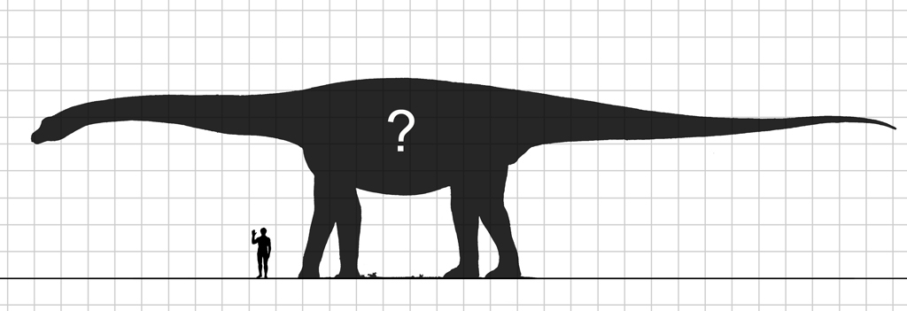 Jedna ze značně spekulativních rekonstrukcí možné velikosti a tvatru těla záhadného sauropodího giganta z pozdně křídové Indie. Zda opravdu měřil na délku přes 40 metrů a vážil víc než 120 tun pro nás ale zatím zůstane tajemstvím. Kredit: Steveoc_86;