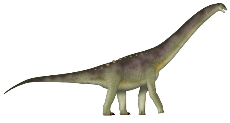 Největším dinosaurem, formálně popsaným v loňském roce, je titanosaurní sauropod druhu Bustingorrytitan shiva, žijící v době před asi 95 miliony let na území dnešní argentinské provincie Neuquén. Při odhadované hmotnosti kolem 67 tun mohl představova