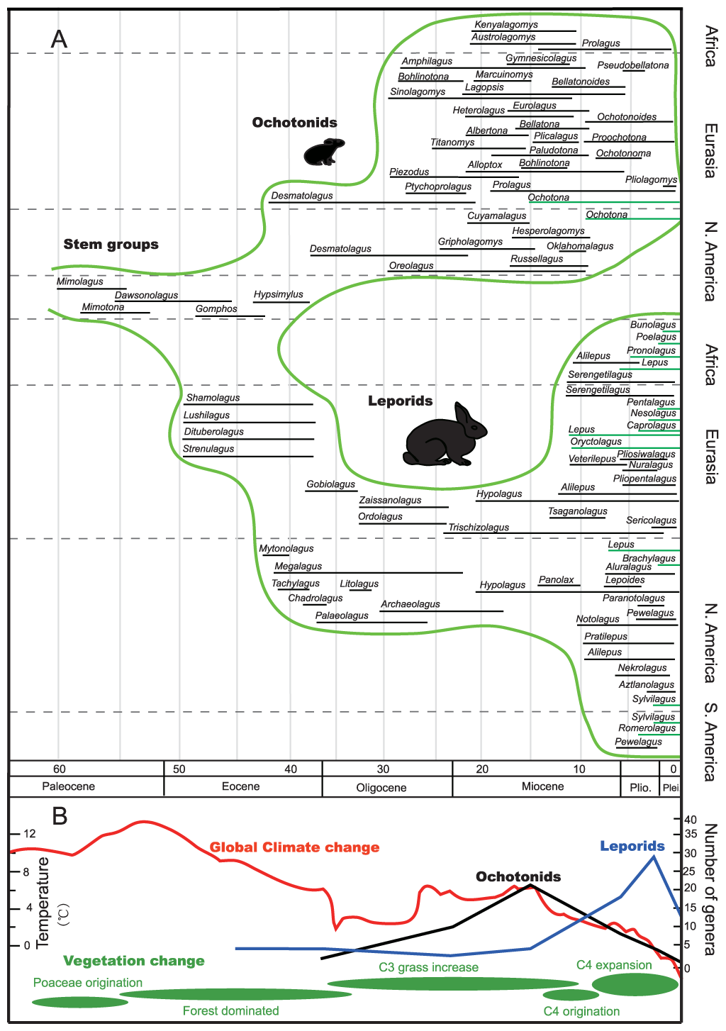 Fosilní záznam zajícovců a pišťuchovitých v průběhu geologického času – zde v závislosti na změnách globálního klimatu, průměrných teplot a změn ve složení atmosféry. Nápadná je výrazná evoluční diverzifikace zajícovců v období pozdního miocénu (přib