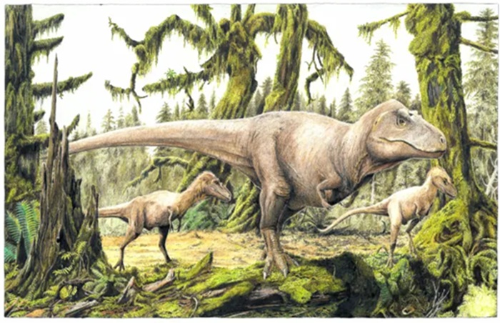 Výtvarná rekonstrukce dospělého jedince druhu Tyrannosaurus rex s dvojicí odrostlých mláďat. Právě tak nějak mohl zaživa vypadat i typový exemplář tohoto druhu, tedy jedinec se sbírkovým označením CM 9380. Kredit: Vladimír Rimbala (využito se svolení