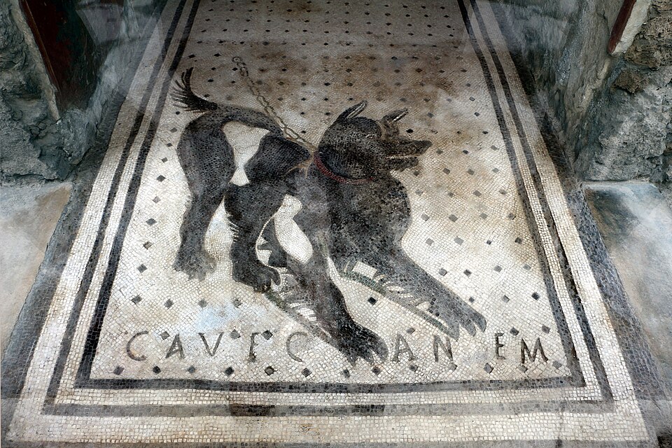 Cave Canem! Výstraha před zlým psem z Pompejí. Kredit: Sailko, Wikimedia Commons, CC BY-SA 4.0.